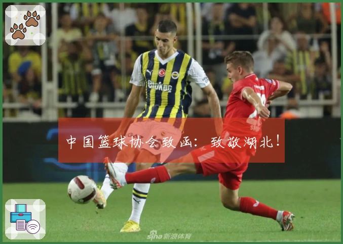 中国篮球协会致函：致敬湖北！