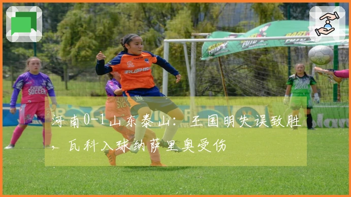 河南0-1山东泰山：王国明失误致胜，瓦科入球纳萨里奥受伤