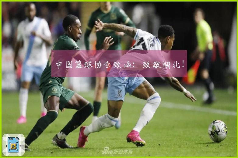 中国篮球协会致函：致敬湖北！