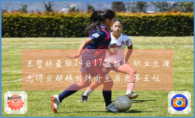 王哲林豪取24分17篮板！职业生涯总得分超越刘炜升至历史第五位
