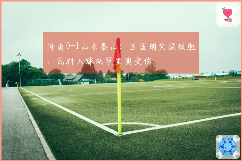 河南0-1山东泰山：王国明失误致胜，瓦科入球纳萨里奥受伤